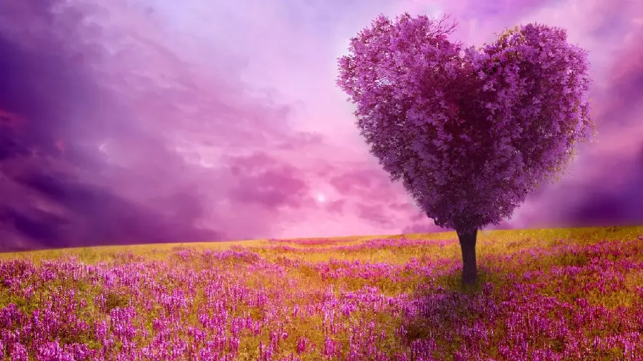 Spring Wallpapers with Pink and Purple