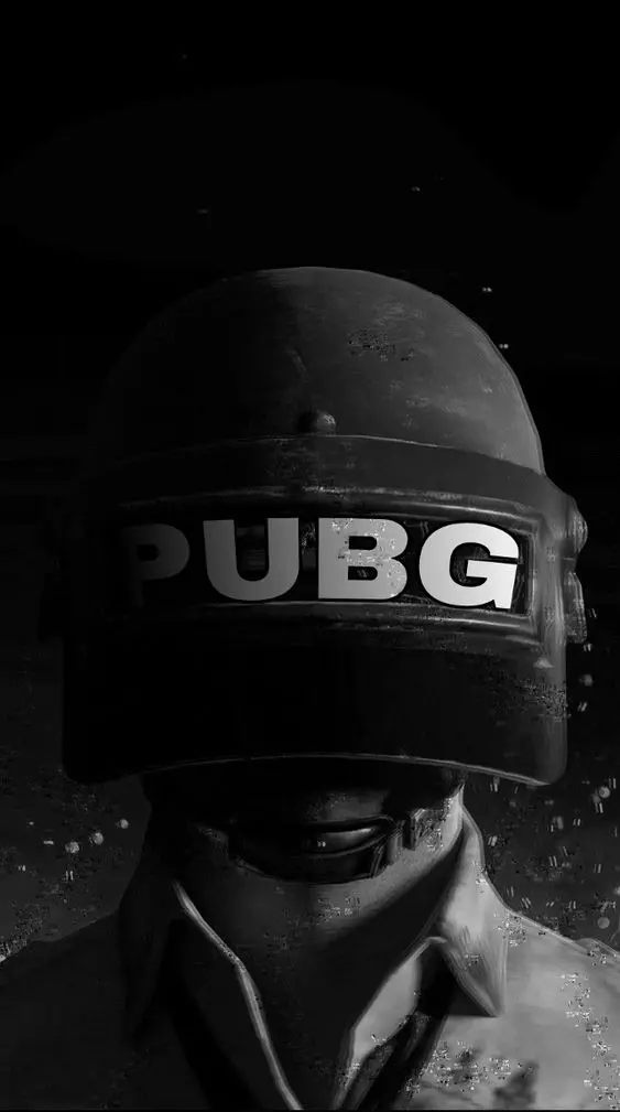 Beautiful PUBG Image for Profile