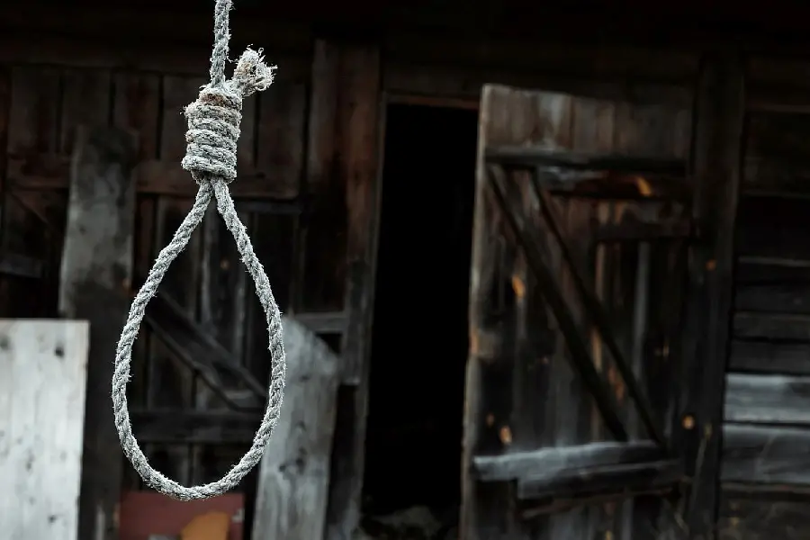 Download Image of a Noose for Laptop Background