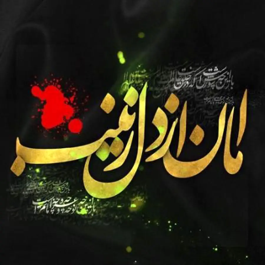 Aman from Zainab's Heart Profile Picture