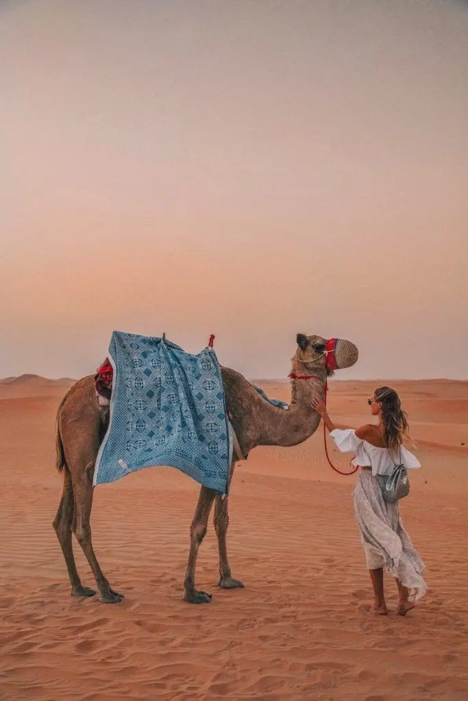 Download Girl and Camel at Desert Sunset Photo