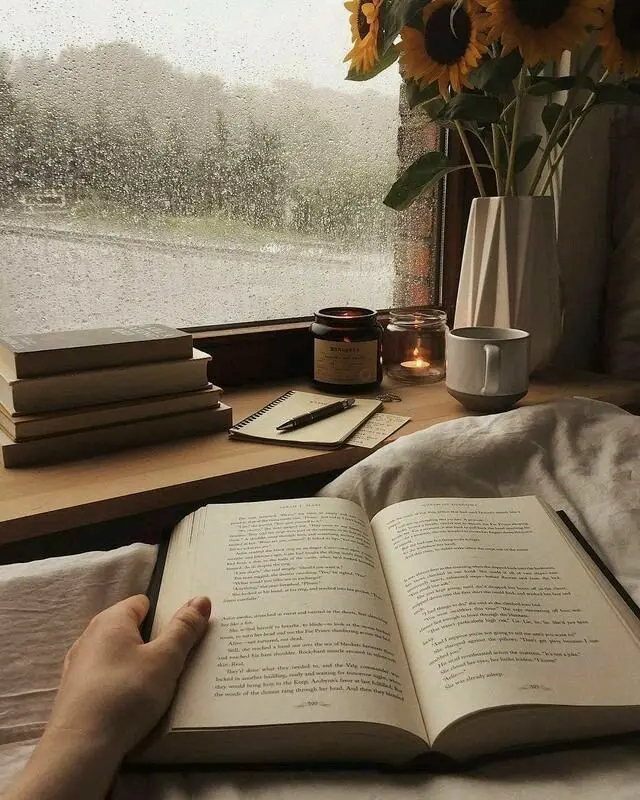 Image of Book Reading on a Rainy Night