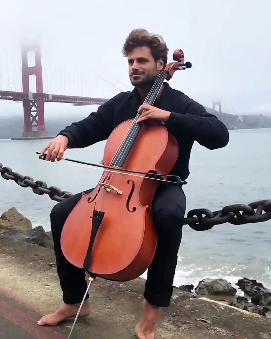 Cello Photo - A Large String Instrument