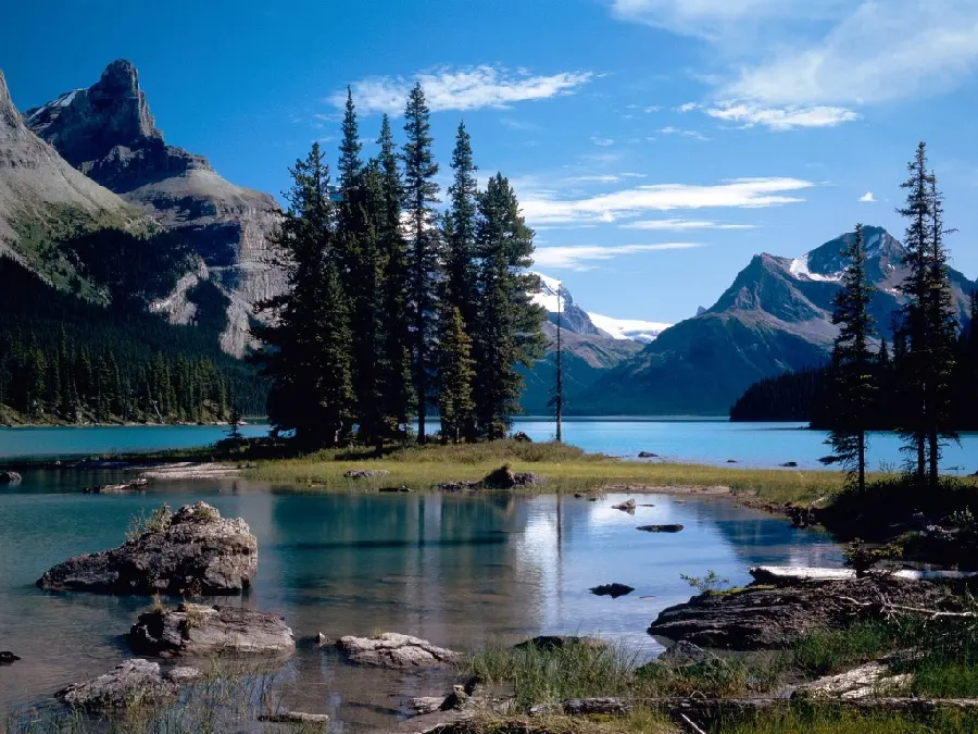 Beautiful Nature Image Suitable for Background