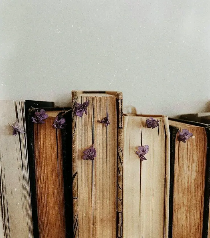 Download Book Profile Picture with Old Pages