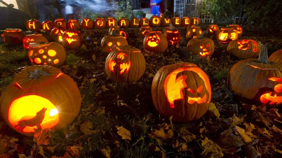 Pumpkin Lantern Photos for Halloween Celebrations