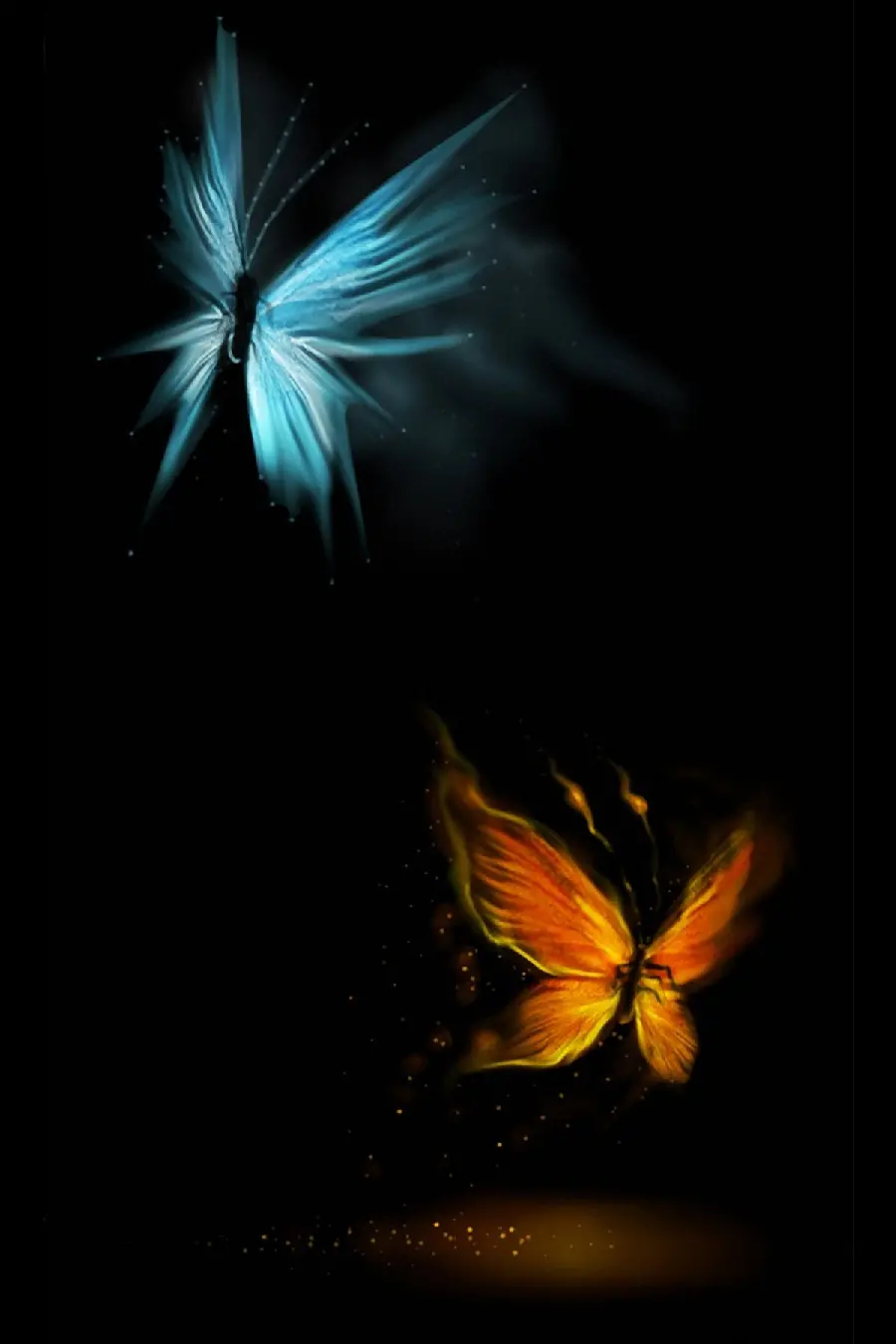 Butterfly Background Photo