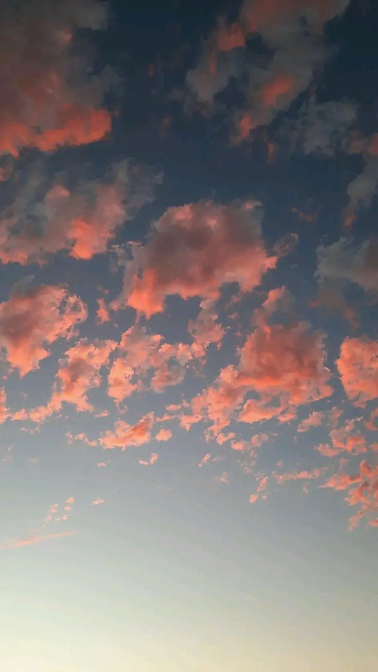 Download High Quality Pink Clouds In Blue Sky Background