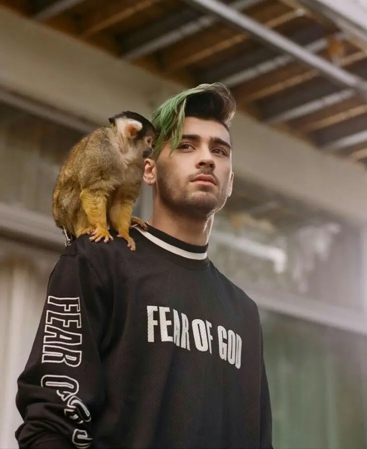Download Photo of Zayn Malik Talented Singer