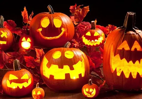 Halloween Pumpkin Photo for Creative Decoration Ideas