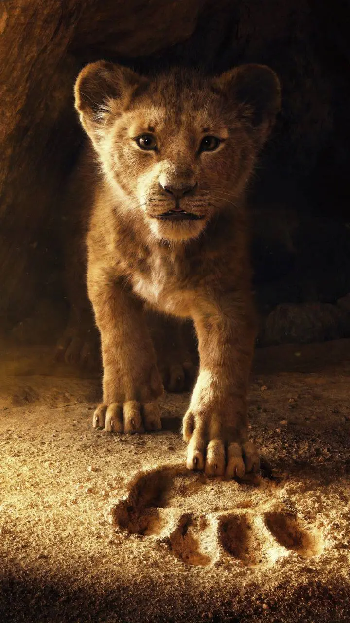 Cute Baby Lion Image