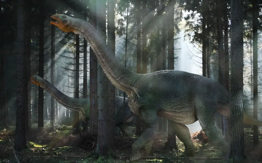 Diplodocus Dinosaur Wallpaper