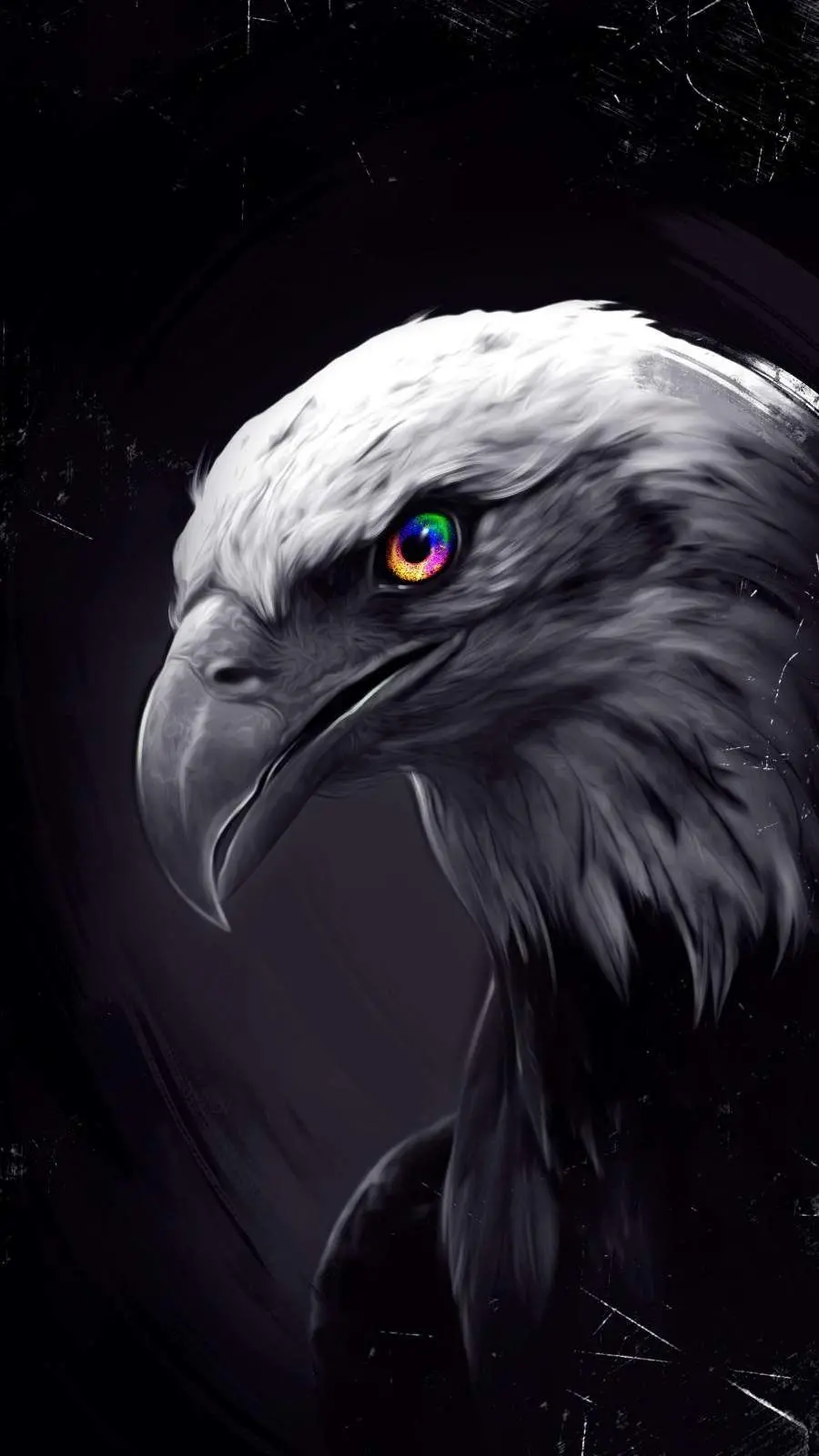Download Eagle Image in Full HD Quality for Desktop