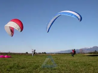 Impact of Parachute Color on Paragliding Safety