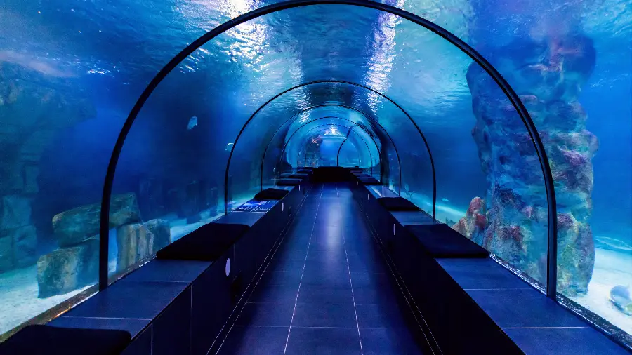 Image of Sea Life Aquarium in Istanbul