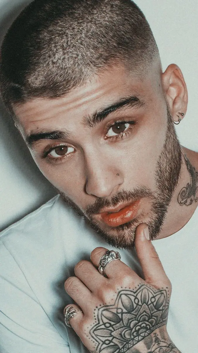 Download Zayn Malik Profile Picture