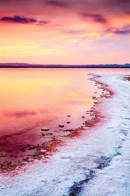 Photos of Pink Sand Beach in Bahamas