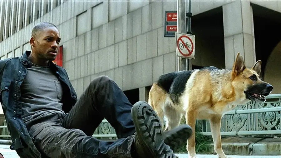Download I Am Legend Movie Photo In HD