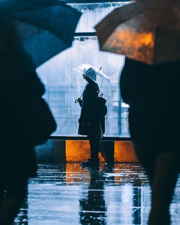 Rainy Night Photo for Profile - Heavy Rain on Asphalt Street