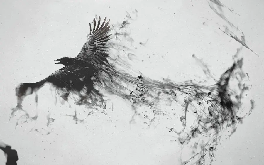 Black and White Crow Turning into Smoke Photo - Deep and Meaningful