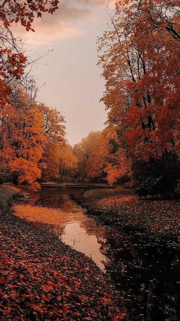 Autumn Image for Profile