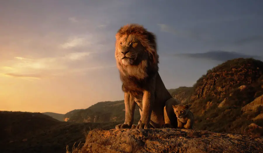The Lion King 2019 Movie Photo