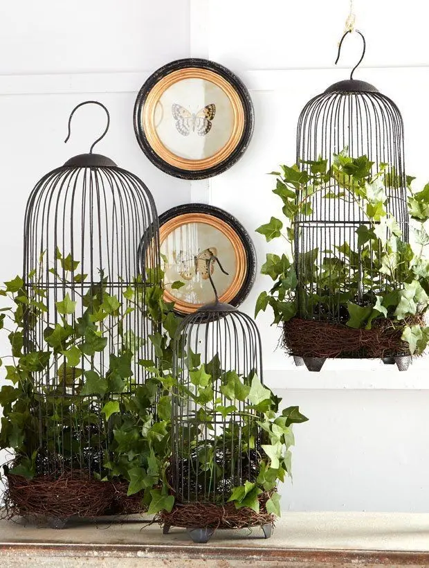 Download Luxury Bird Cage Profile Photos in HD