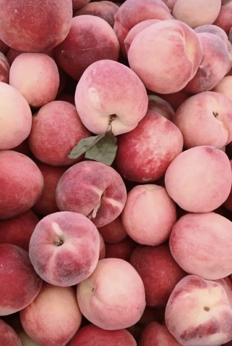 Download HD Peach Image