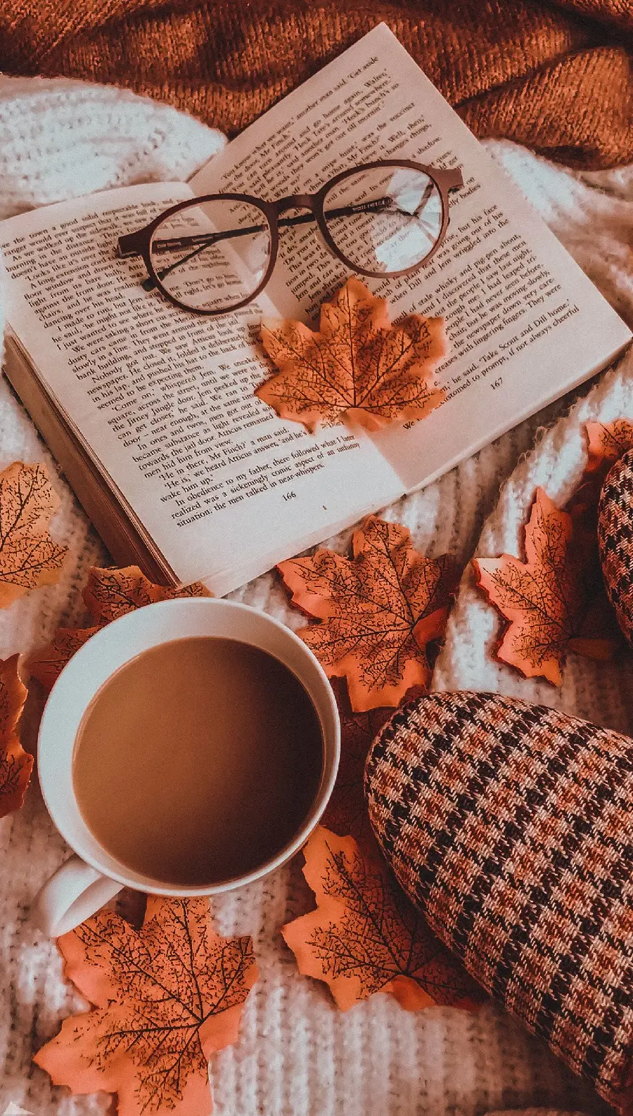 Autumn Profile Pictures for Social Media