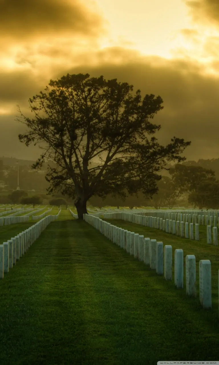 High-Quality Cemetery Photos with Eerie Atmosphere