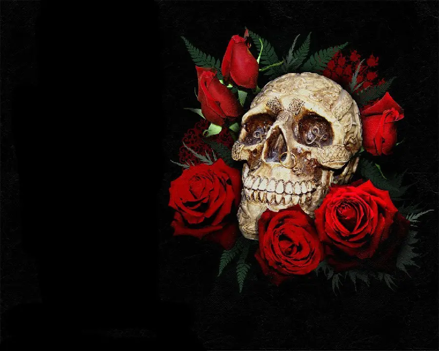 Download Skull and Rose Wallpaper in HD and 4K