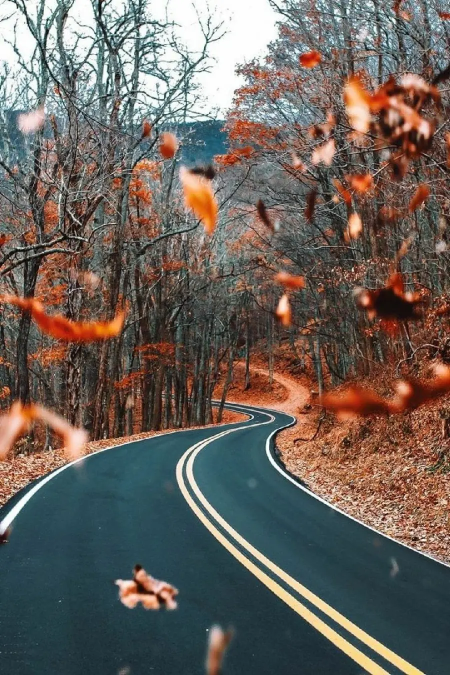 Download Autumn Season and Road Image