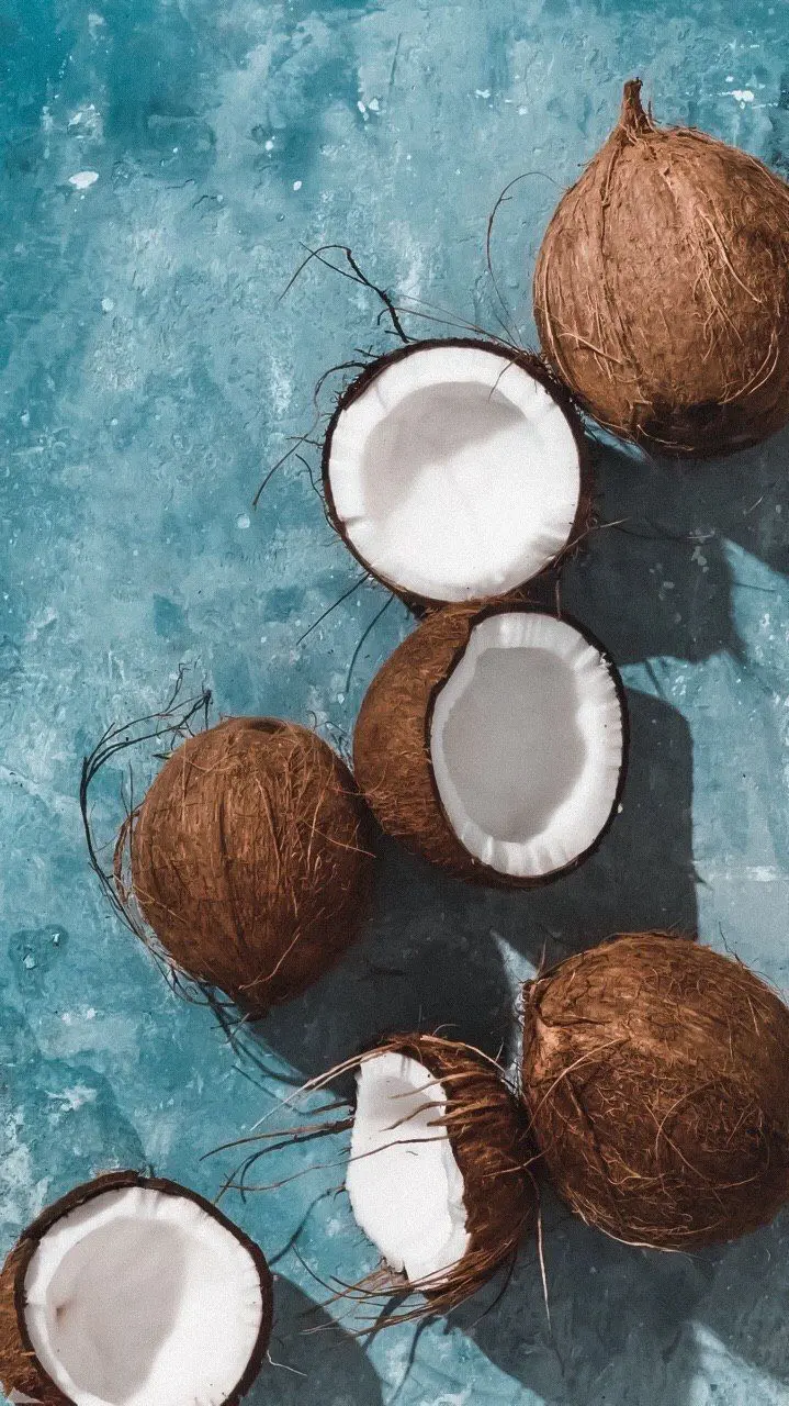 Download Coconut Fruit Wallpaper