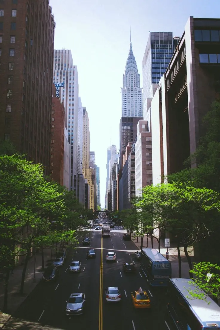Download Empire State Building New York Profile Picture