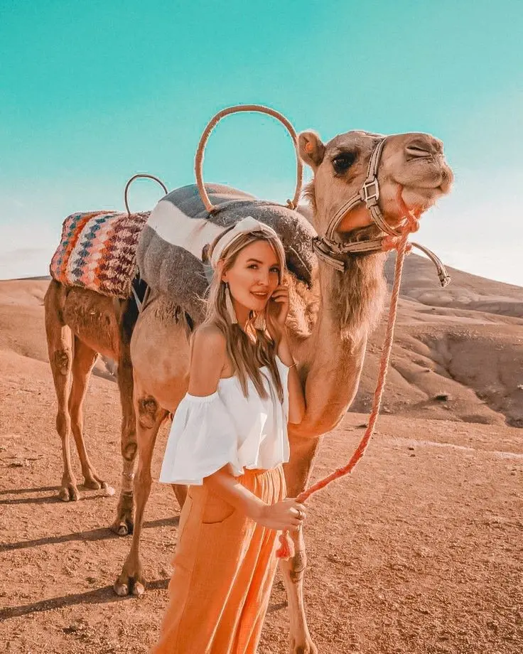 Download Girly Camel Wallpaper in 8K Quality