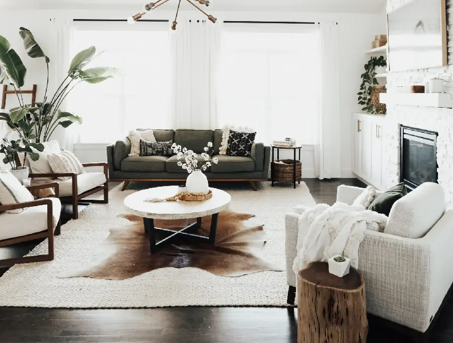 Interior Decor and Design with White Color