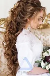 Open Hair Bridal Hairstyles with Crown and Veil