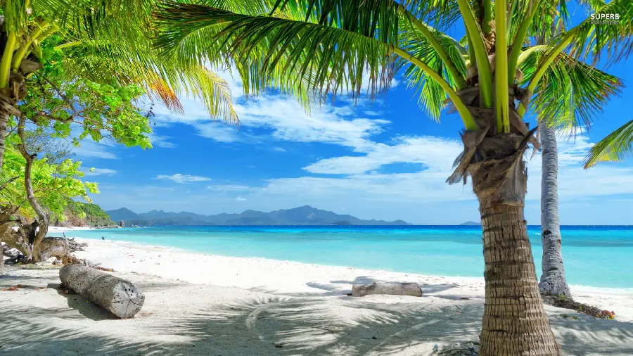 Download High-Quality Image for Background