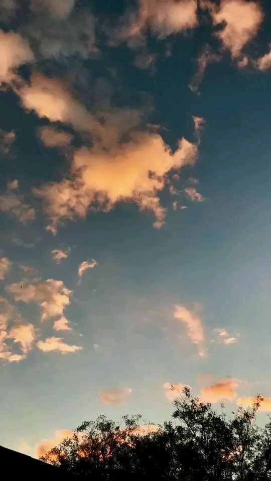 Download High Quality Sky And Shadows Of Trees