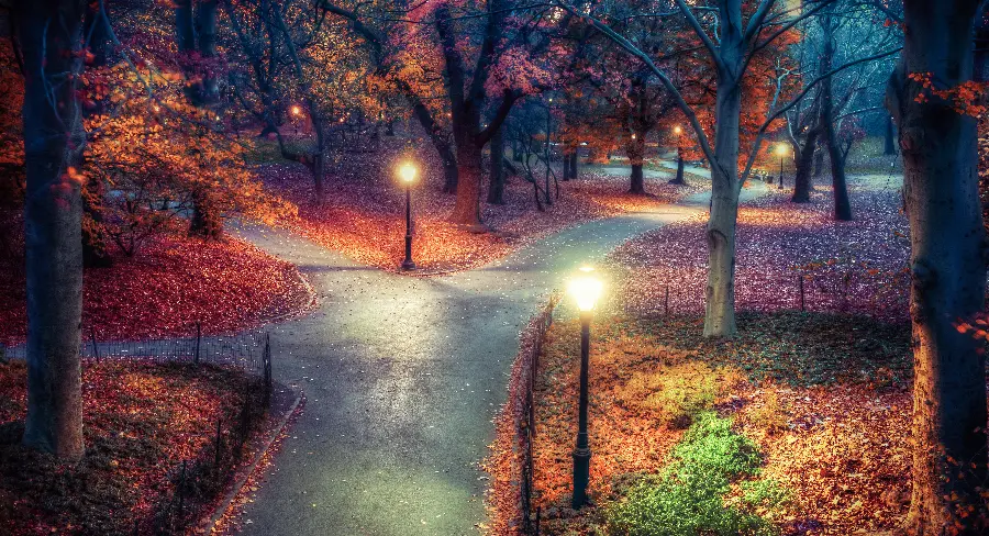 Central Park New York Picture for Wallpaper