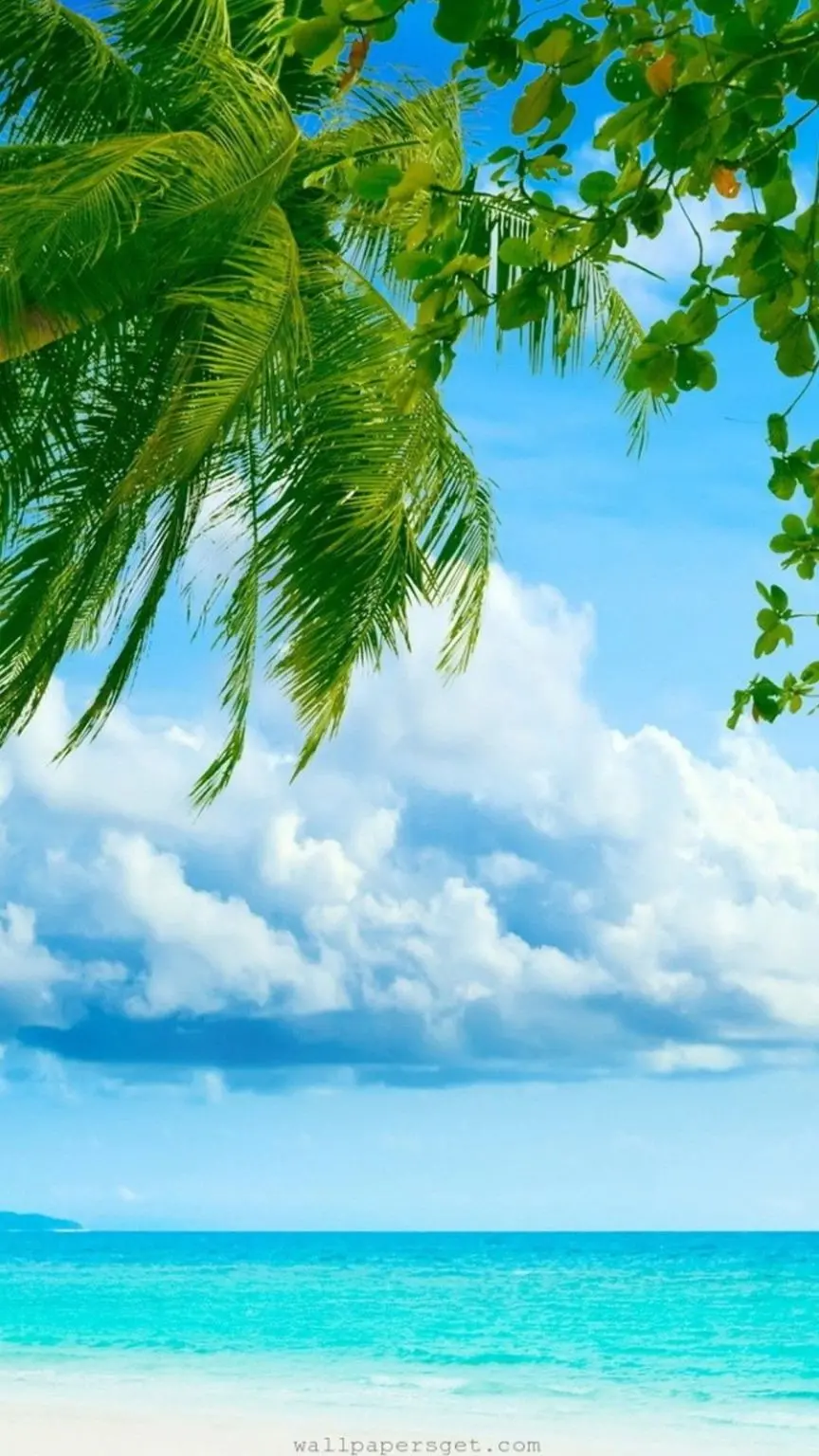 Sunny Beach Wallpaper for iPhone 7 - Relaxing and Beautiful