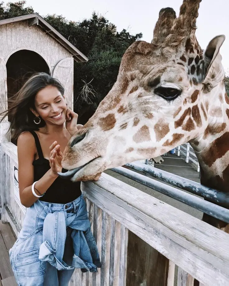 Download Girly Giraffe Zoo Profile Picture