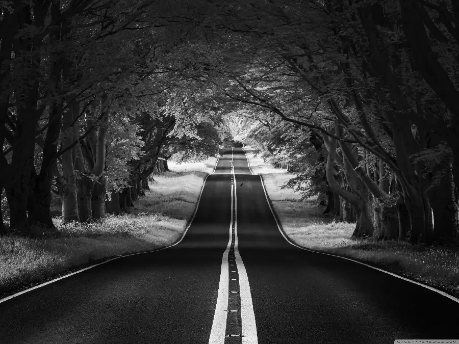 Black and White Landscape Wallpaper for Desktops