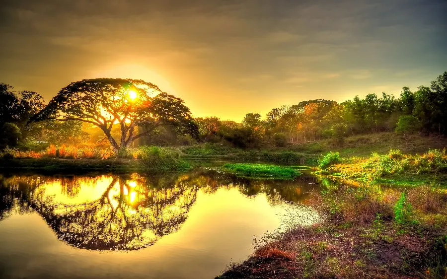 Download 100+ Beautiful Nature Images in 4K and HD