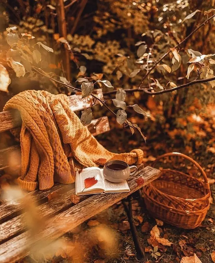 Download Melancholic Autumn with Wooden Chair Photo