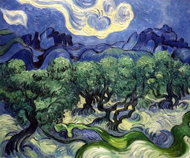 Olive Trees Painting by Vincent Van Gogh
