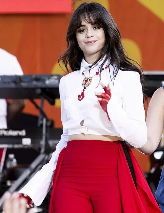Download Camila Cabello Image Social Media