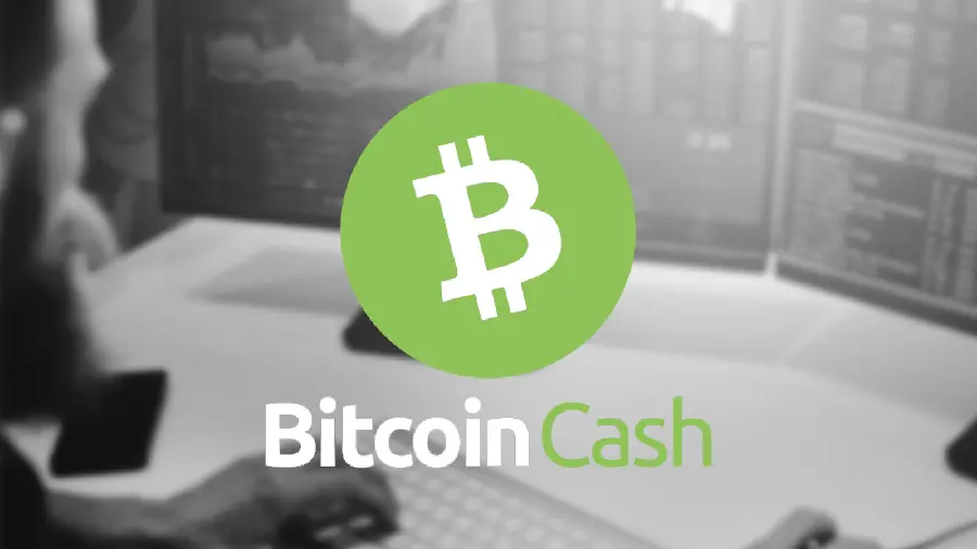 Bitcoin Cash Photo
