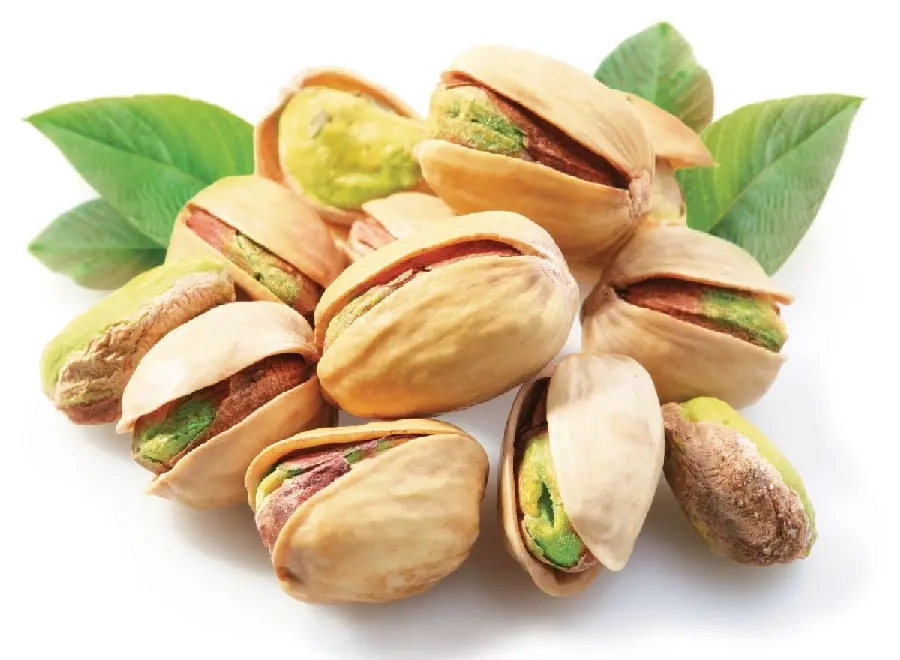 Photo of Pistachio, a Souvenir from Kerman and Sabzevar