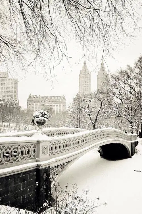 Download Bow Bridge New York City Wallpaper in HD